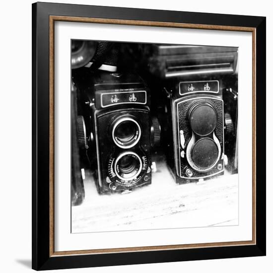 Rare Finds II-Susan Bryant-Framed Photographic Print