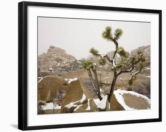 Rare Winter Snowfall, Hidden Valley, Joshua Tree National Park, California, USA-Richard Cummins-Framed Photographic Print