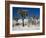 Rare Winter Snowfall, Lost Horse Valley, Joshua Tree National Park, California, USA-Richard Cummins-Framed Photographic Print