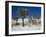 Rare Winter Snowfall, Lost Horse Valley, Joshua Tree National Park, California, USA-Richard Cummins-Framed Photographic Print