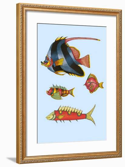 Rarest Curiosities of the Fish of the Indies-Louis Renard-Framed Art Print