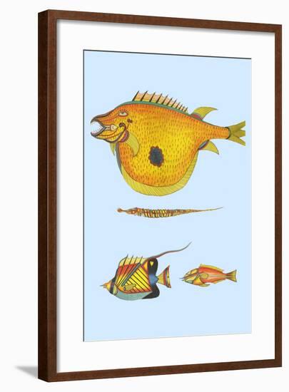 Rarest Curiosities of the Fish of the Indies-Louis Renard-Framed Art Print