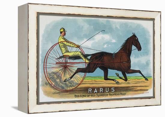 Rarus Brand Cigar Box Label, Horse Racing-Lantern Press-Framed Stretched Canvas