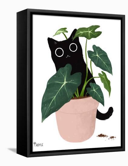 Rascal Cat I-Tara Royle-Framed Stretched Canvas