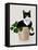 Rascal Cat II-Tara Royle-Framed Stretched Canvas