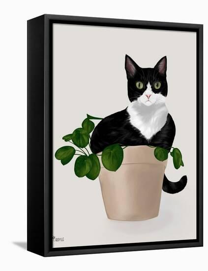 Rascal Cat II-Tara Royle-Framed Stretched Canvas