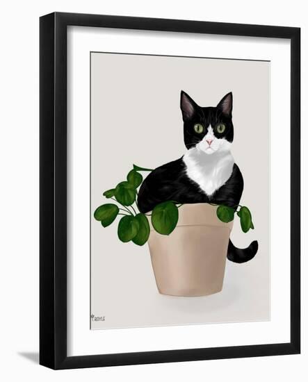 Rascal Cat II-Tara Royle-Framed Art Print