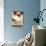Raschera Dop-null-Photographic Print displayed on a wall