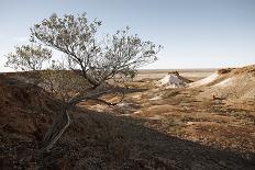 Scrap vehicle in Coober Pedy, outback Australia-Rasmus Kaessmann-Photographic Print