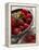 Raspberries in a Dish-Malgorzata Stepien-Framed Premier Image Canvas