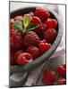 Raspberries in a Dish-Malgorzata Stepien-Mounted Photographic Print