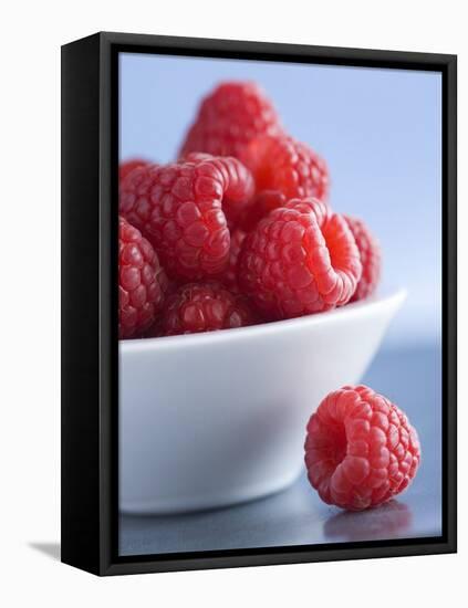 Raspberries in a Small Bowl-Franck Bichon-Framed Premier Image Canvas