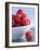 Raspberries in a Small Bowl-Franck Bichon-Framed Photographic Print