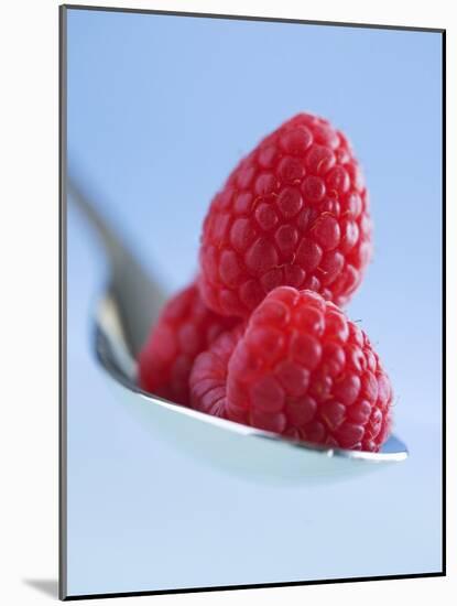 Raspberries on a Spoon-Franck Bichon-Mounted Photographic Print