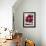 Raspberries on a Wooden Surface-Martina Schindler-Framed Photographic Print displayed on a wall