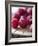 Raspberries on a Wooden Surface-Martina Schindler-Framed Photographic Print