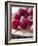 Raspberries on a Wooden Surface-Martina Schindler-Framed Photographic Print