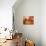 Raspberries, Tabletop, Wood, Still Life-Axel Killian-Photographic Print displayed on a wall