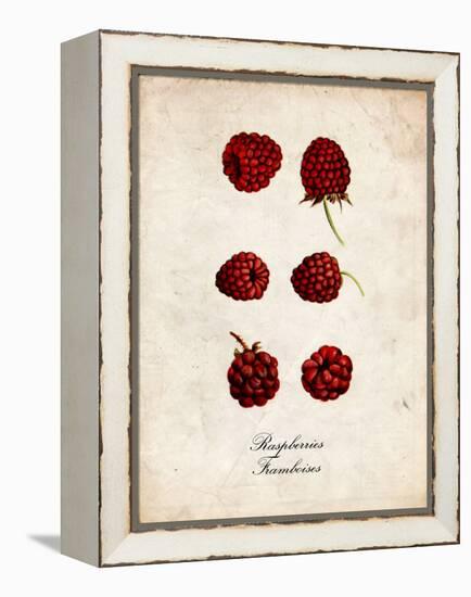 Raspberries-null-Framed Stretched Canvas