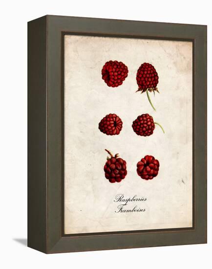 Raspberries-null-Framed Stretched Canvas