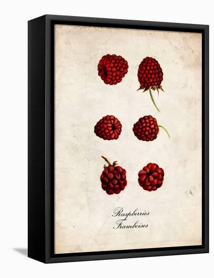 Raspberries-null-Framed Stretched Canvas