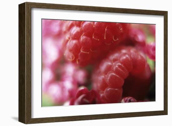 Raspberries-Veronique Leplat-Framed Photographic Print