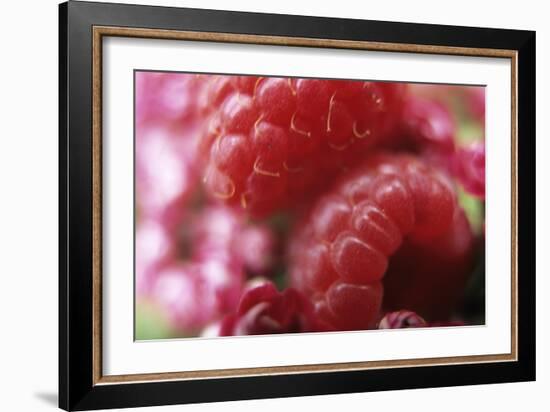 Raspberries-Veronique Leplat-Framed Photographic Print