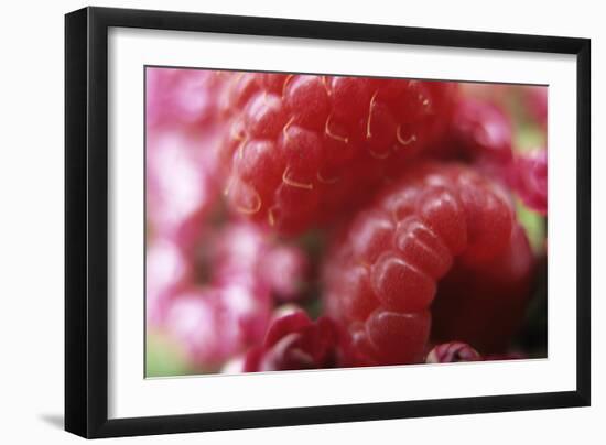 Raspberries-Veronique Leplat-Framed Photographic Print