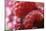 Raspberries-Veronique Leplat-Mounted Photographic Print