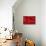 Raspberries-Kaj Svensson-Photographic Print displayed on a wall