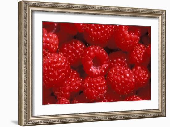 Raspberries-Kaj Svensson-Framed Photographic Print