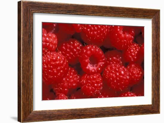 Raspberries-Kaj Svensson-Framed Photographic Print