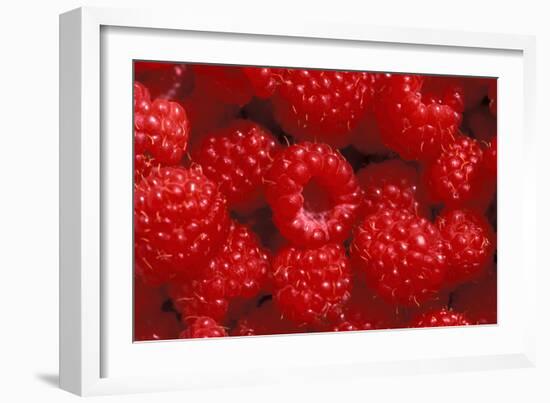 Raspberries-Kaj Svensson-Framed Photographic Print