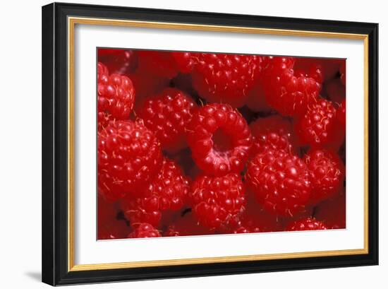 Raspberries-Kaj Svensson-Framed Photographic Print