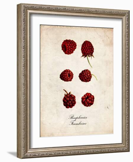 Raspberries-null-Framed Art Print