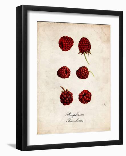Raspberries-null-Framed Art Print