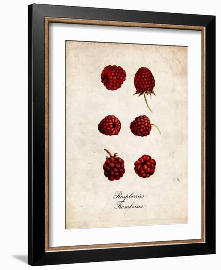 Raspberries-null-Framed Art Print