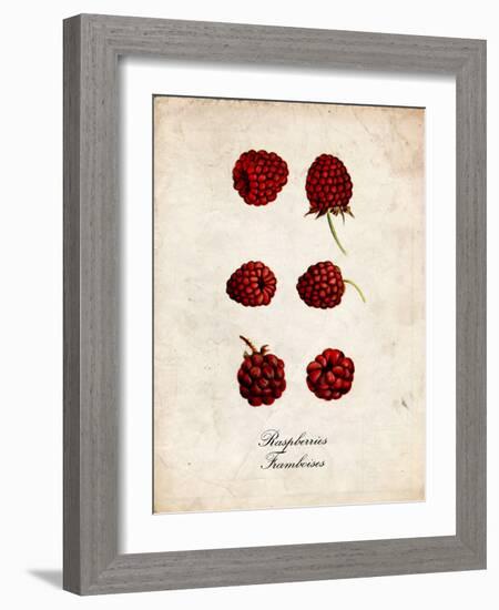 Raspberries-null-Framed Premium Giclee Print