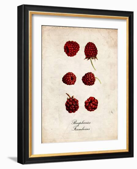 Raspberries-null-Framed Premium Giclee Print