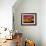 Raspberry Contemplation-Bonita Williams Goldberg-Framed Giclee Print displayed on a wall