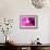 Raspberry Crush-Sarah O'Toole-Framed Giclee Print displayed on a wall