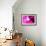 Raspberry Crush-Sarah O'Toole-Framed Giclee Print displayed on a wall