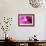 Raspberry Crush-Sarah O'Toole-Framed Giclee Print displayed on a wall