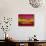 Raspberry Fantasy-Bonita Williams Goldberg-Premium Giclee Print displayed on a wall