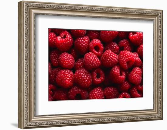 Raspberry Fruit Background-SJ Travel Photo and Video-Framed Photographic Print