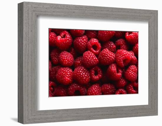 Raspberry Fruit Background-SJ Travel Photo and Video-Framed Photographic Print