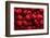 Raspberry Fruit Background-SJ Travel Photo and Video-Framed Photographic Print