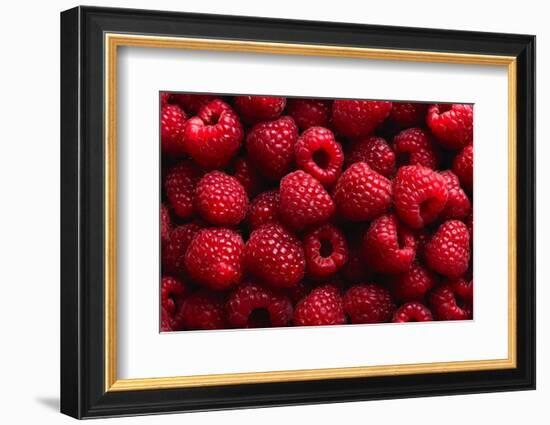 Raspberry Fruit Background-SJ Travel Photo and Video-Framed Photographic Print