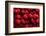 Raspberry Fruit Background-SJ Travel Photo and Video-Framed Photographic Print