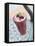 Raspberry Shake-John T^ Wong-Framed Premier Image Canvas